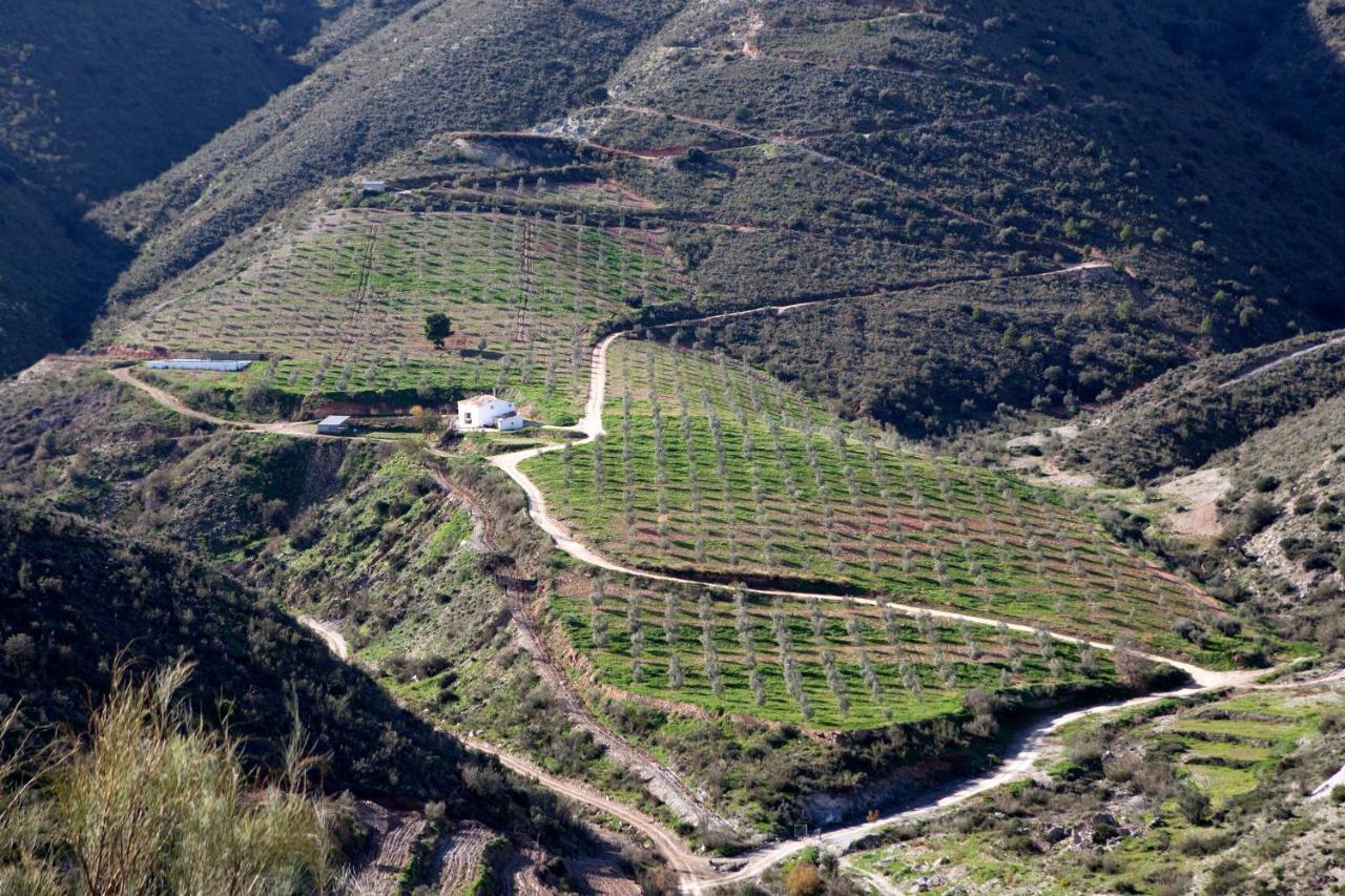 Cortijo El Rancho Villa Albanchez Kültér fotó