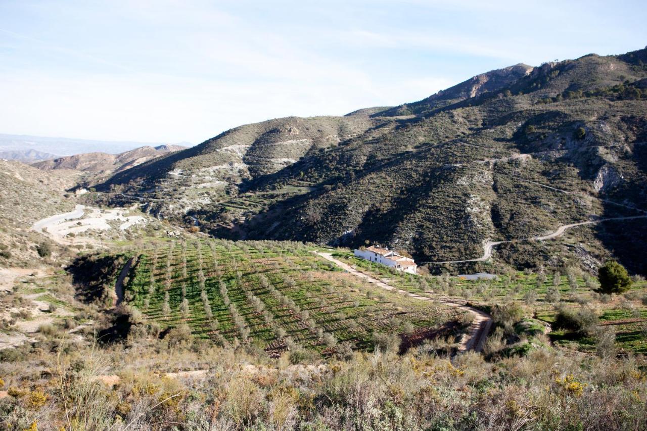 Cortijo El Rancho Villa Albanchez Kültér fotó