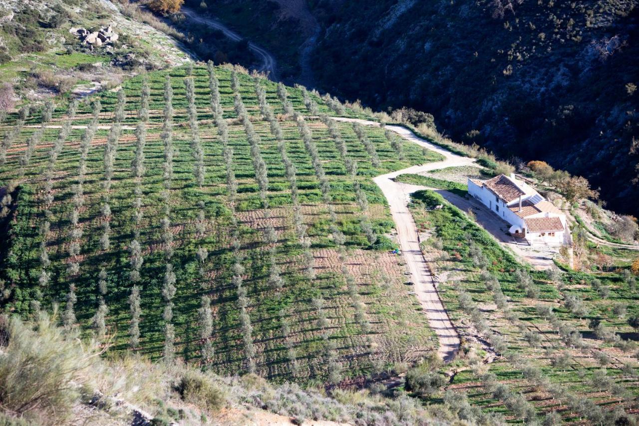 Cortijo El Rancho Villa Albanchez Kültér fotó